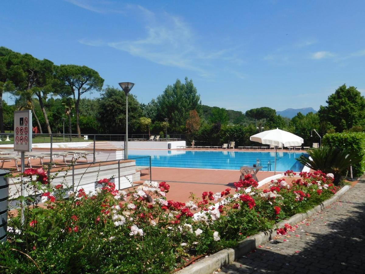 Lato Soleggiato @Gardazzurro Lägenhet Padenghe sul Garda Exteriör bild