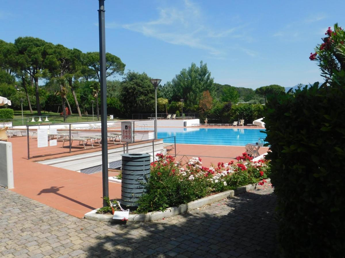 Lato Soleggiato @Gardazzurro Lägenhet Padenghe sul Garda Exteriör bild
